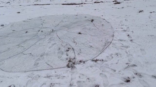 Кастинговая сеть после двух лет эксплуатации, обзор н?