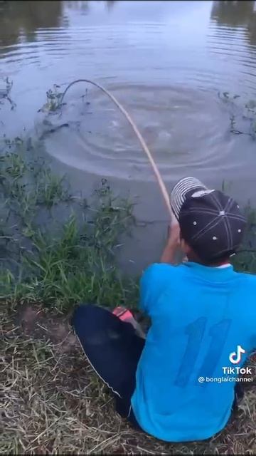 Рыба моей мечты!