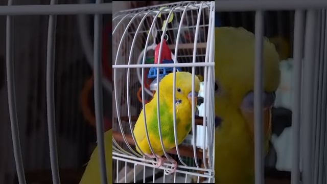 1000001467.mp4