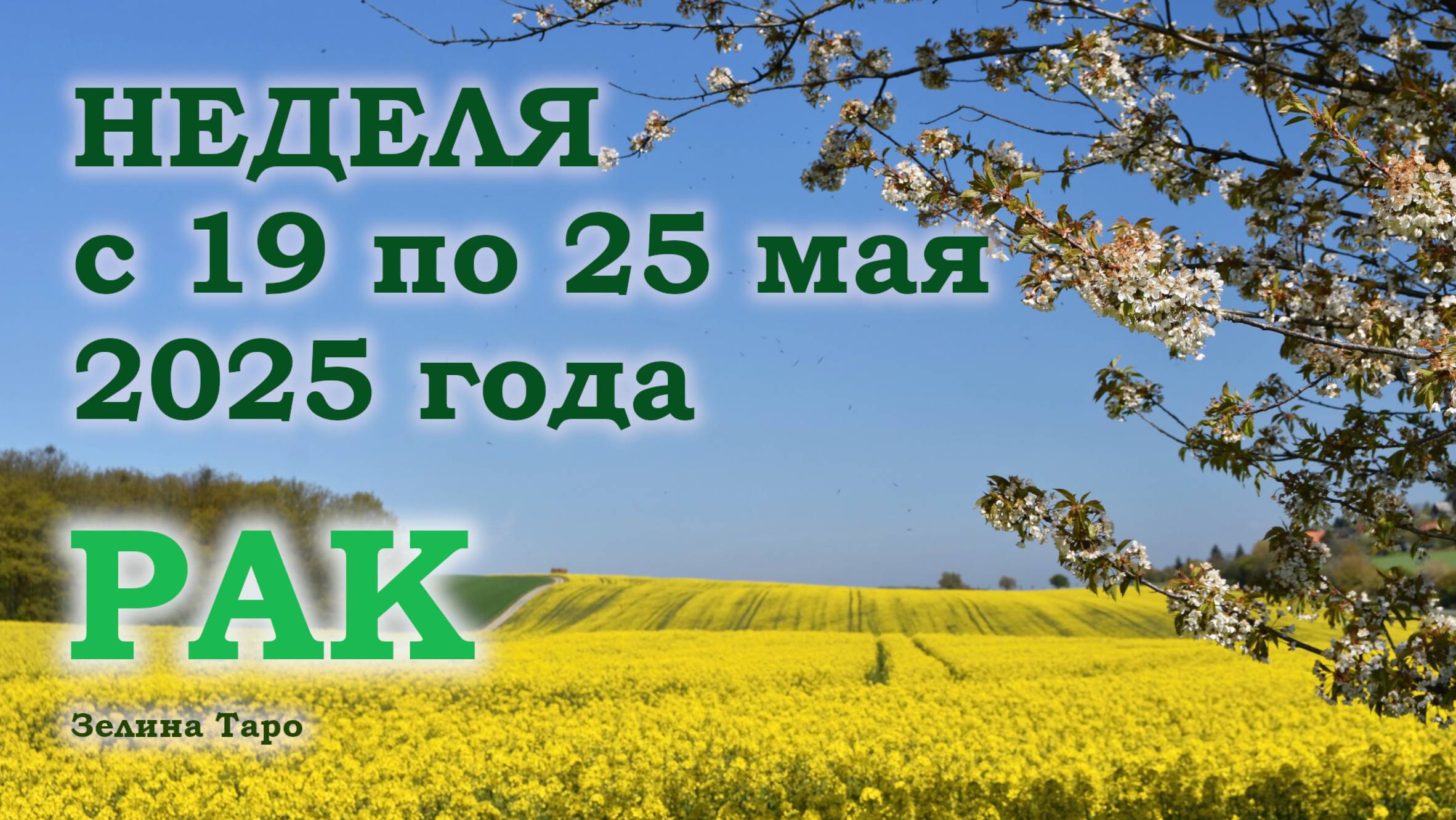 РАК | ТАРО прогноз на неделю с 19 по 25 мая 2025 года