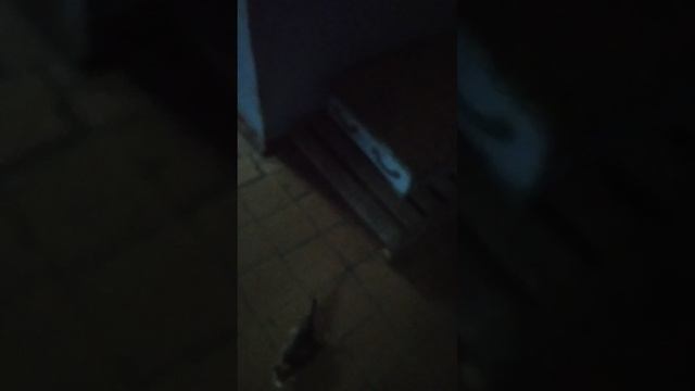 VID_20250507_040455