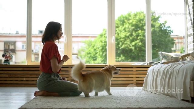 Как обучить собаку команде 'место'