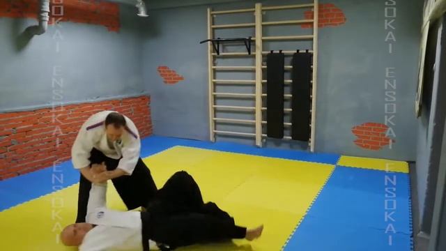 Коричневый пояс 1 Кю цуки маваши никкё