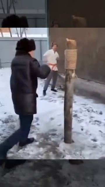Без названия