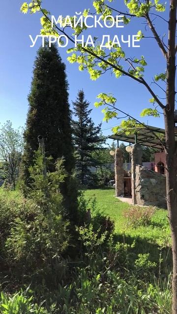 Утро на даче
