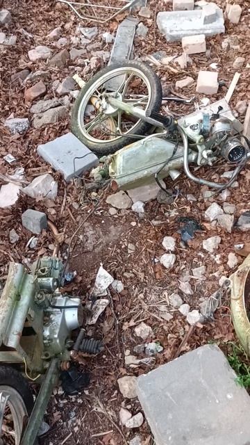 Выбросили мопед на мусорку, жду когда выкинут автомобиль