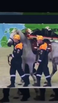 Такой МЧС нам не нужен.... Голосом Николая Озера, который с презрением смотрит на Геннадия Хазанова