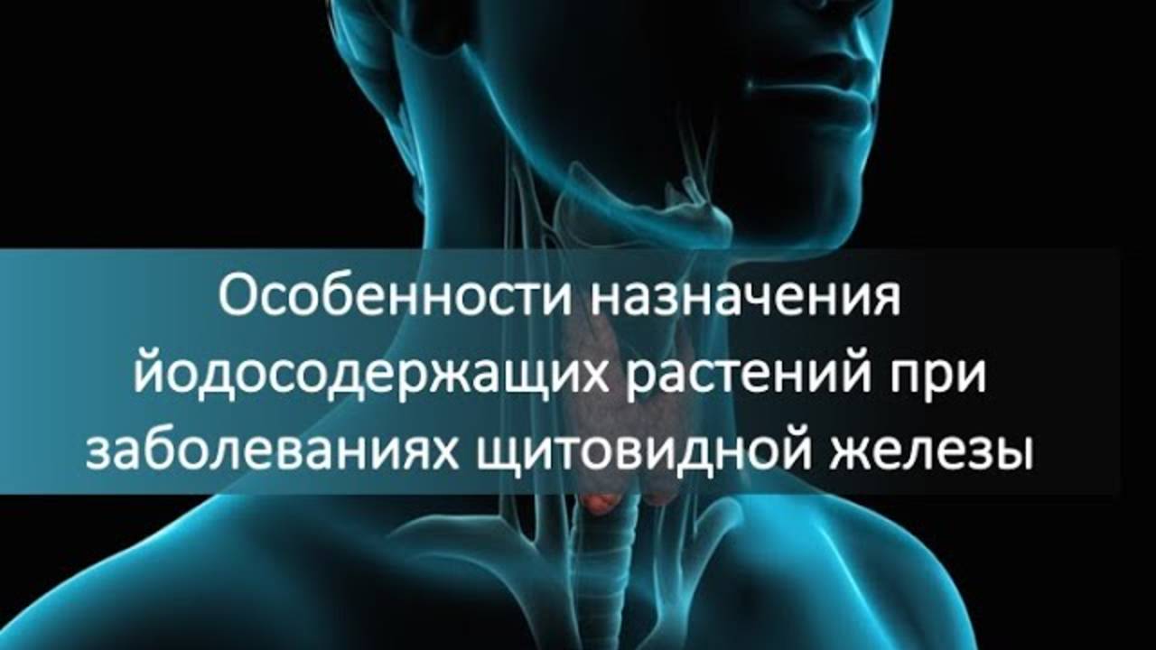 Особенности назначения йодосодержащих растений при заболеваниях щитовидной железы. Алефиров А.Н.