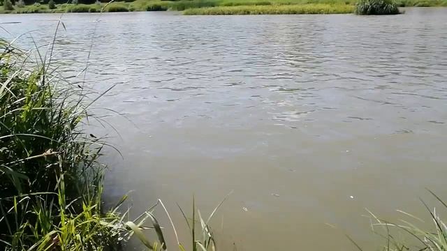 Природа. The peaceful beauty and sounds of nature of God the Creator, video story 16