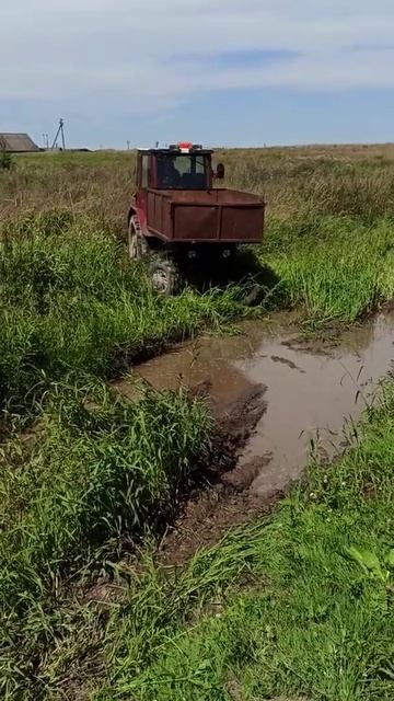 т16 на бездорожье)))