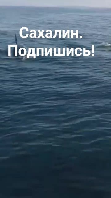 Туры по Сахалину из Южно-Сахалинска. маяк Анива.