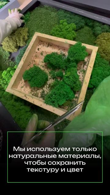 Картина из природного материала