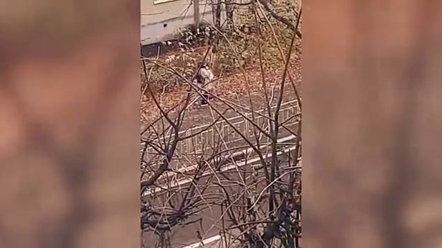 Майк Джексон в Подмосковье!смотреть всем!