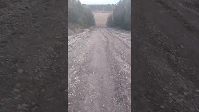 квадроцыкл 125 куб