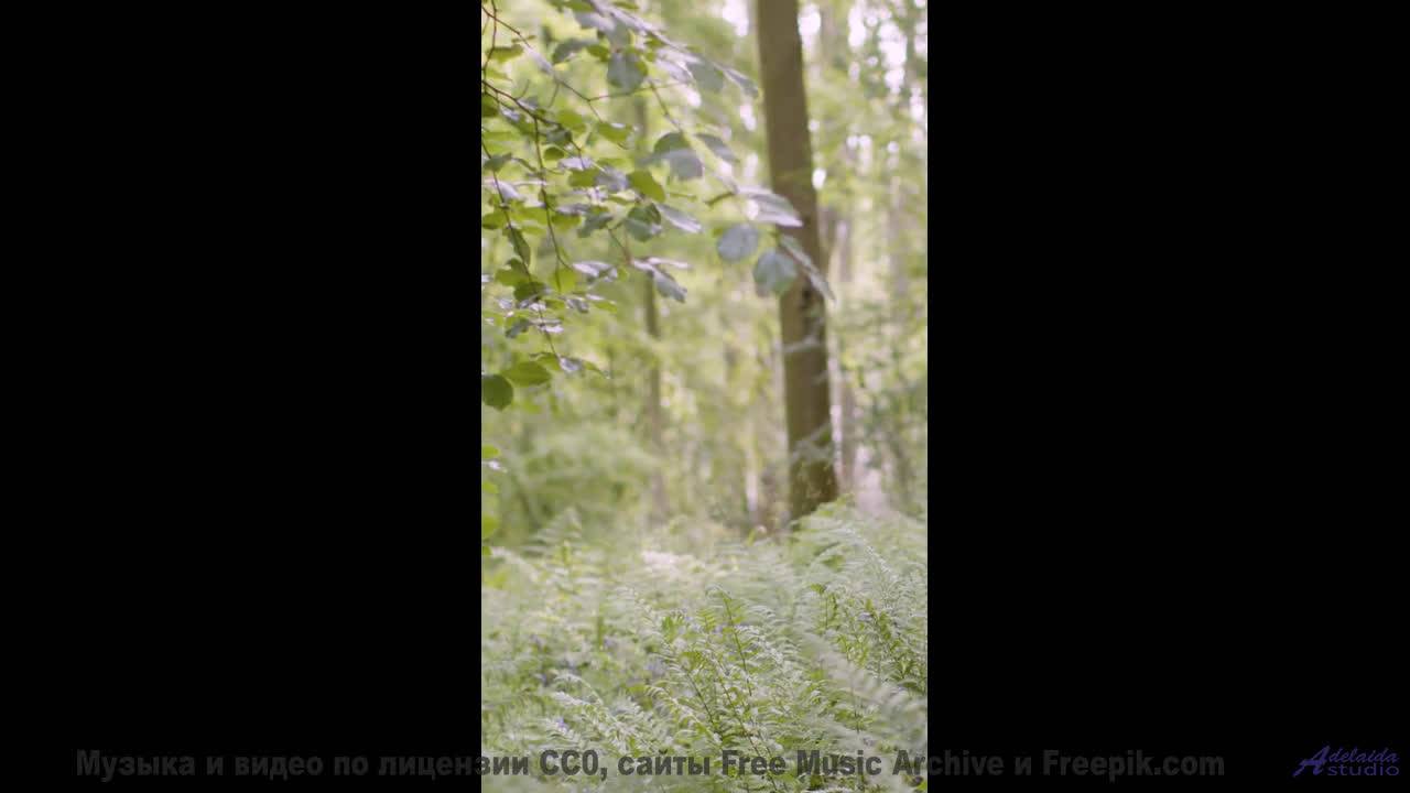 Почему военные используют эту музыку Секрет раскрыт! - Katjes Song -- Evan Schaeffer -- Afterthought