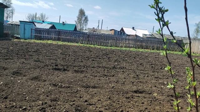 Закупочный день,про курочек,огород.