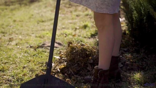 Звуковые волны, изменяющие сознание - попробуйте осторожно! - Drawing Mazes -- Chad Crouch -- Odysse