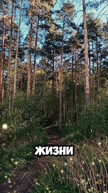 Май 🙏🙂