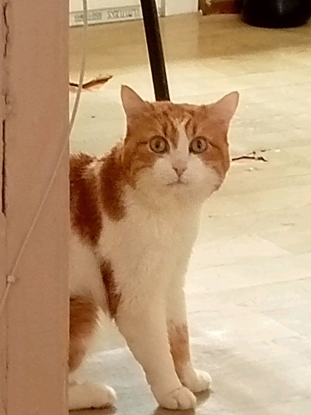 продолжение стрима 6