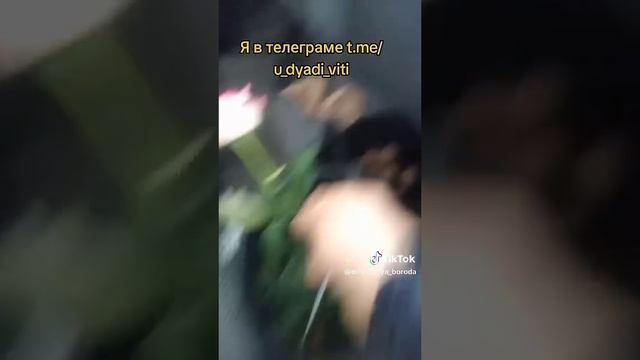 Собираю свой урожай, розы, огурцы, шампиньоны. #дядявитя #огород #теплица #огурцы #розы