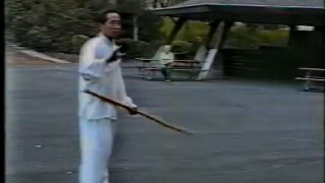Семинар Джорджа Сю "Внутреннее кунгфу".  Spear