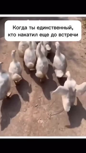 Зато весело 🤣