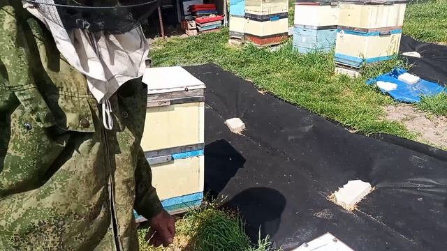 Прием прививок 2025г. 27.04.2025г.