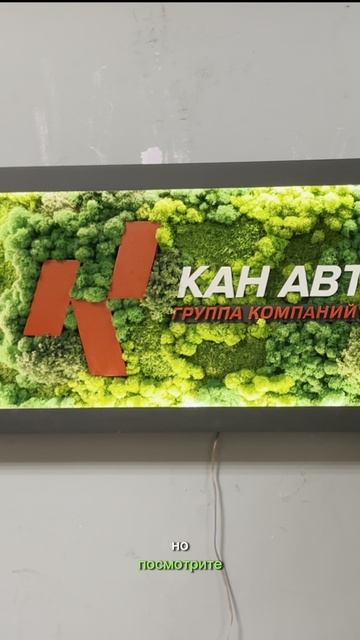 Логотип из стабилизированного мха с подсветкой