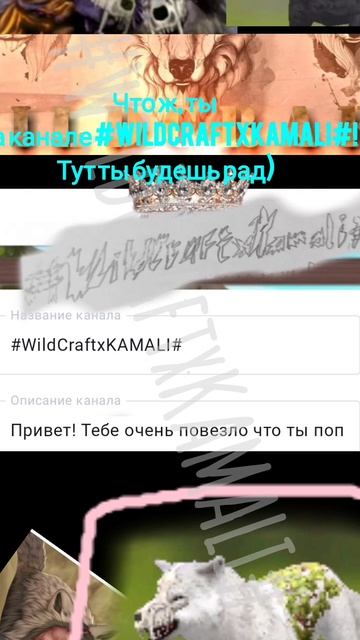 сочетание одежды WildCraft