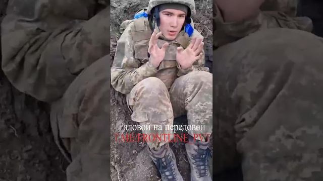 🔴Молочный поросёнок трясогузка🔴