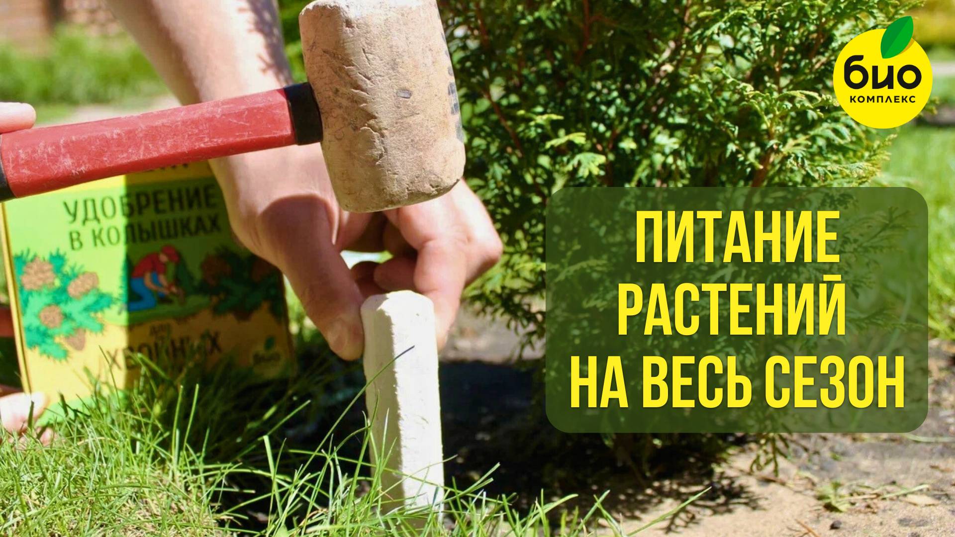 Удобрение "Ракета" – питание растений на весь сезон!