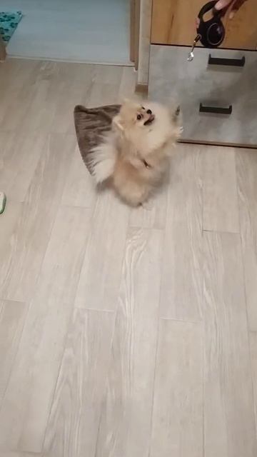 1000055944.mp4