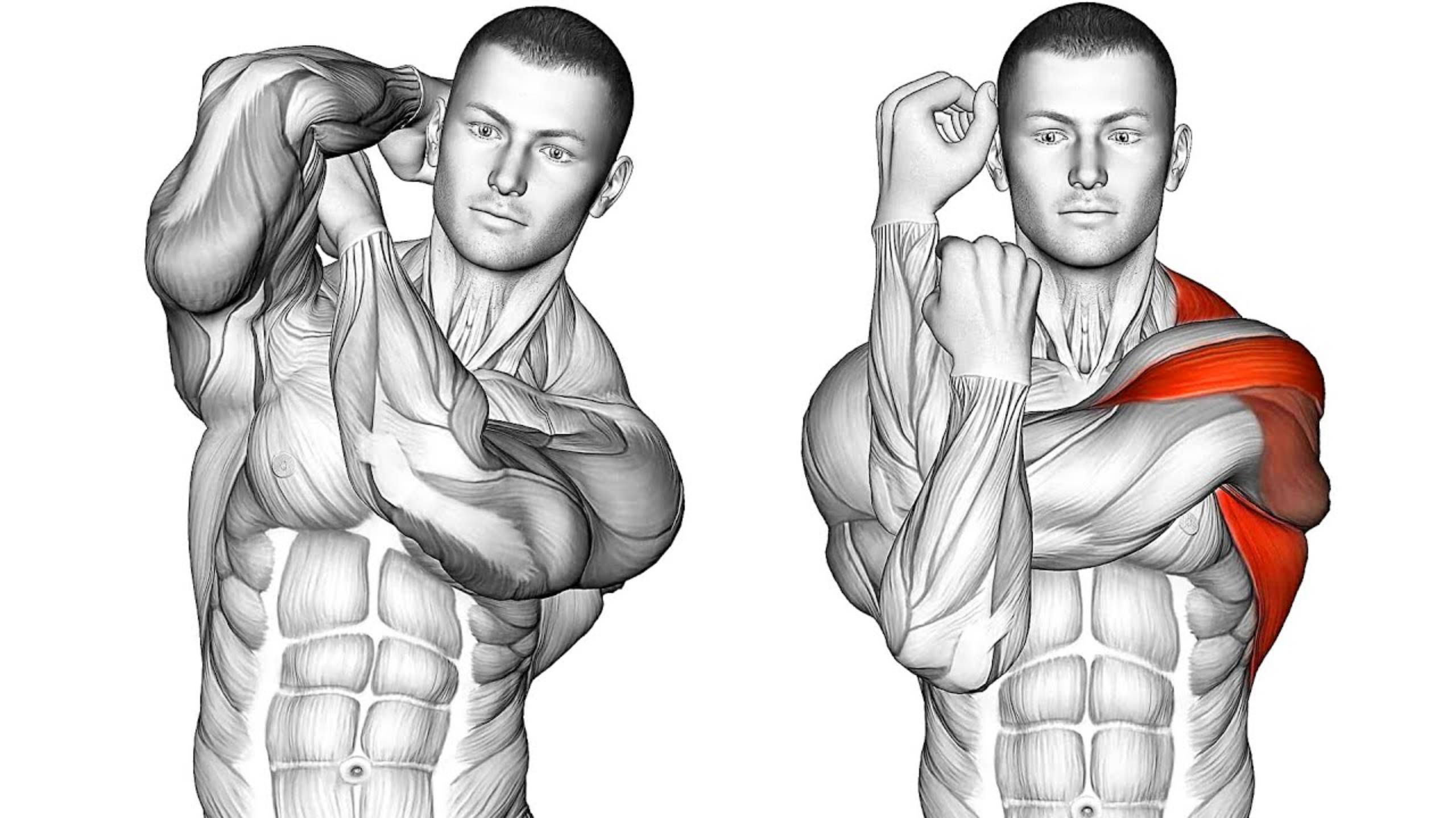 Утренняя разминка стоя. Растяжка.