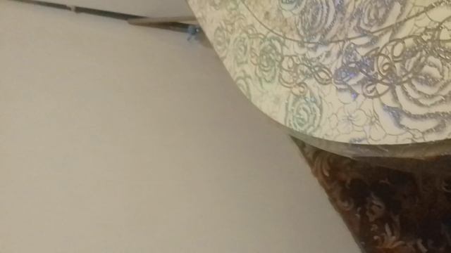 VID_2025-05-18-18-17-04-464.mp4