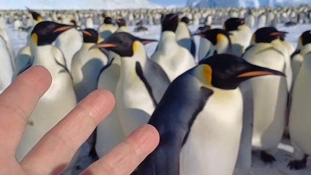 1000116403.mp4