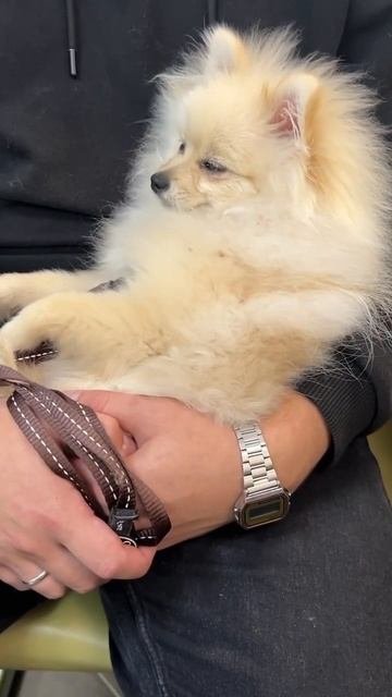 Когда очень хочешь спать, но приходится ходить с родителями по делам 😂