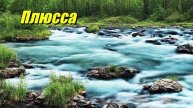 Плюсса