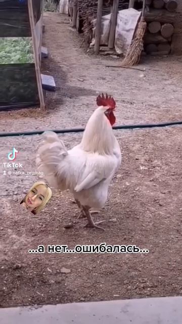😁😁😁