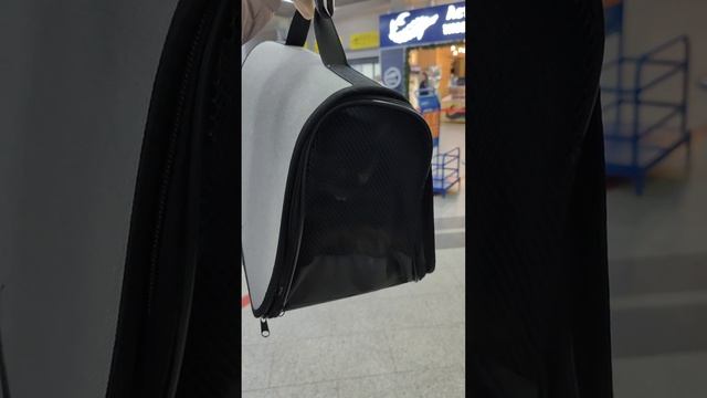 Переезд домой. Кто это стал домашним, скорее смотрите.