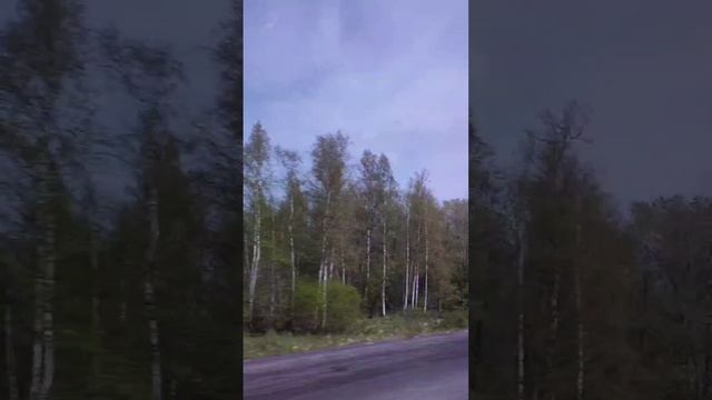 Догога в Великий Новгород