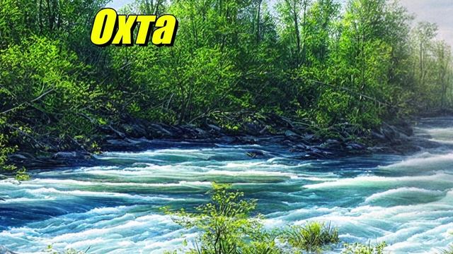 Охта — река в Ленинградской области