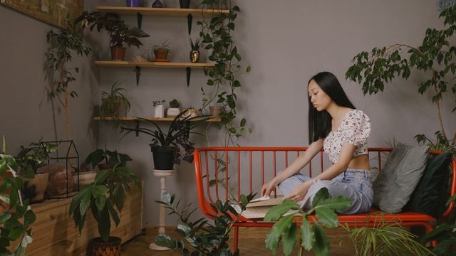 9465911-uhd_3840_2160_25fps
