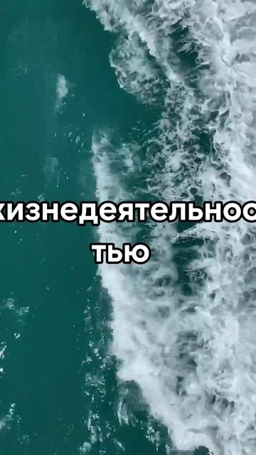 📣"Трансерфинг себя" - Вадим Зеланд📣