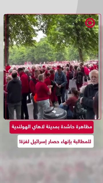 مظاهرة مؤيدة لفلسطين في لاهاي الهولندية
