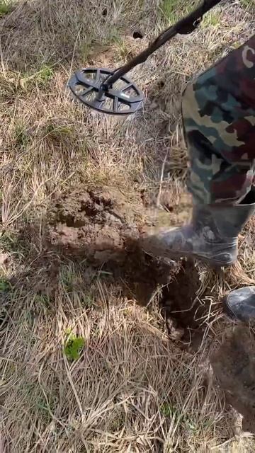 Он не хотел это копать 😱 #находки #metaldetecting #поискмонет