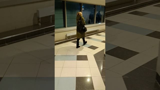 Аэропорт Внуково Москва