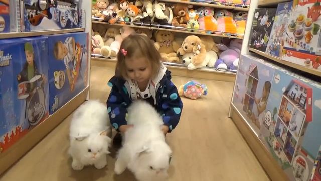 Miss Katy • Мисс Кейт - ВИДЕОБЛОГ покупок Кэти в магазине игрушек