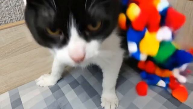 1000031400.mp4