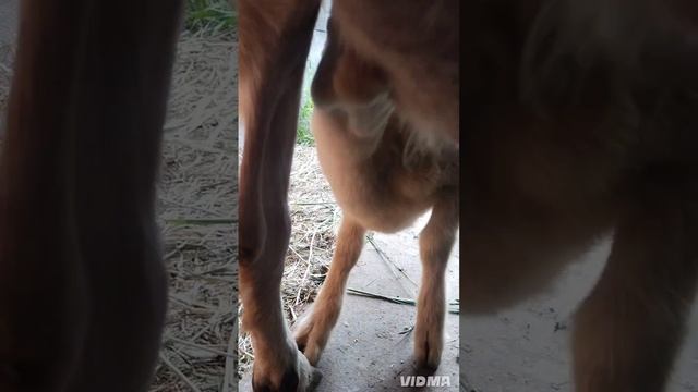 очередь за молоком😁
