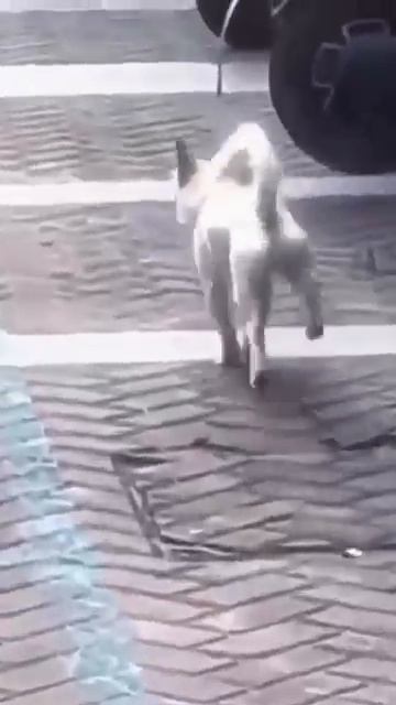 Ждали СКУЧАЛИ, пожалуйста!